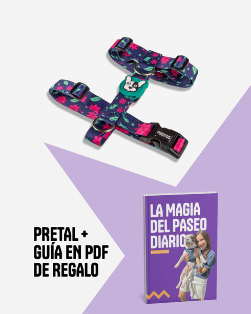 Pretal Doble Agarre Floral + Guía PDF "La Magia del Paseo Diario" de REGALO